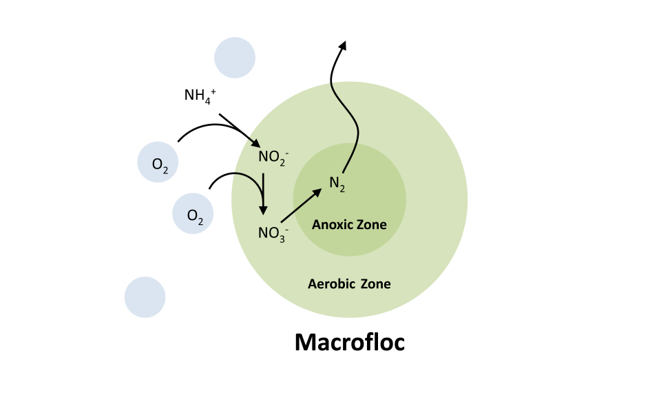 Macroflac - NITRATE NEUTRALITY SOLUTION